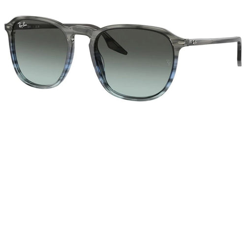 RAY BAN RB2203 1391/GK