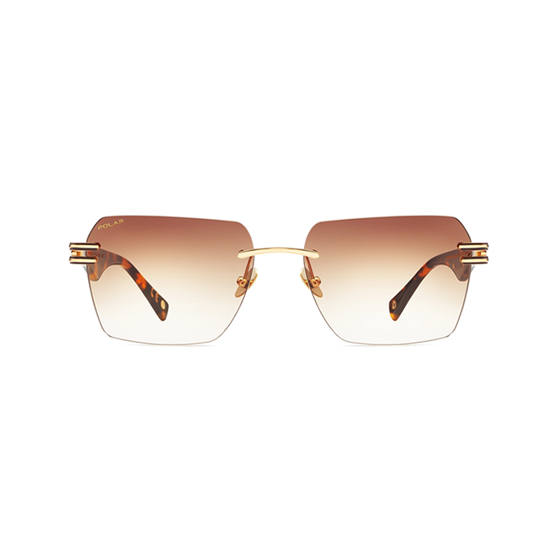 POLAR GOLD 6000 428