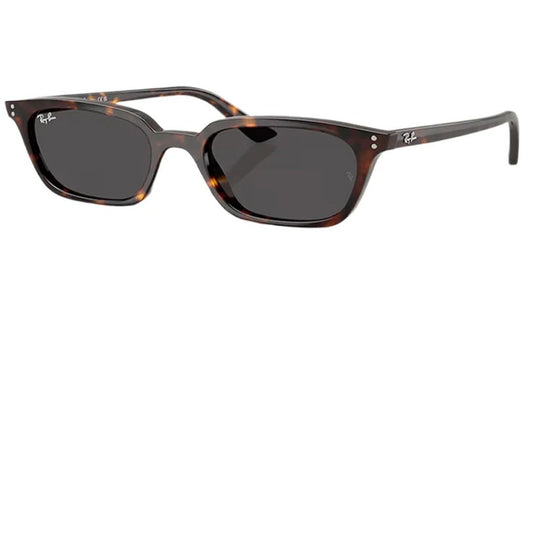 Ray Ban RB4456 ZAYA 1359/87