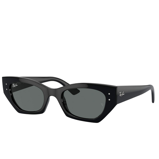 Ray Ban RB4430 ZENA 6677/11