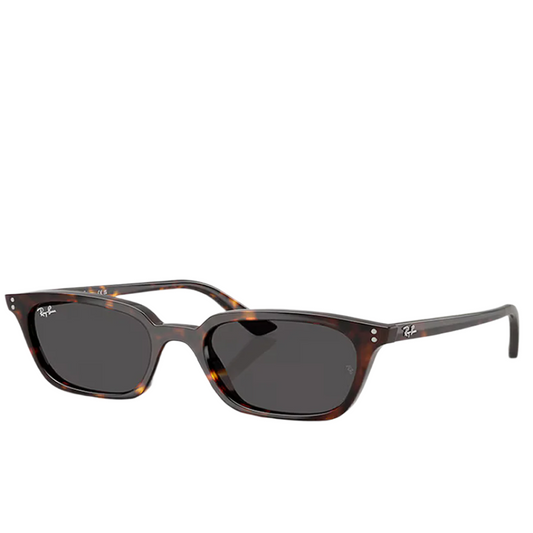 Ray Ban RB4456 ZAYA 1359/87