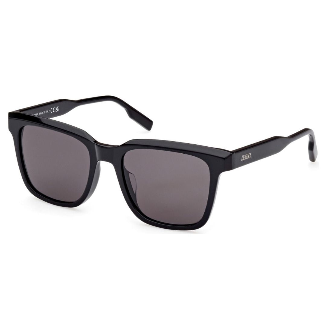 ZEGNA EZ0225D 01A