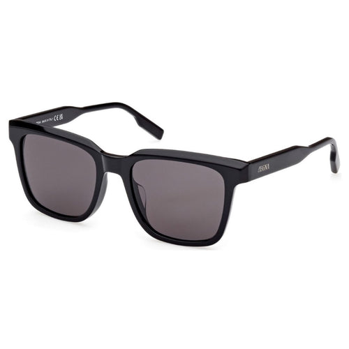 ZEGNA EZ0225D 01A