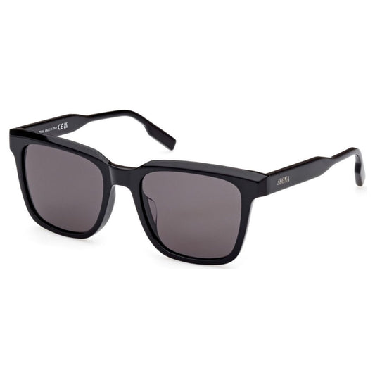 ZEGNA EZ0225D 01A