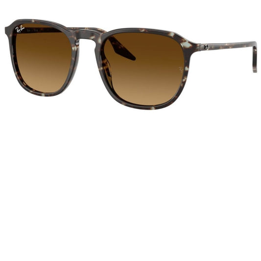 RAY BAN RB2203 1431/85