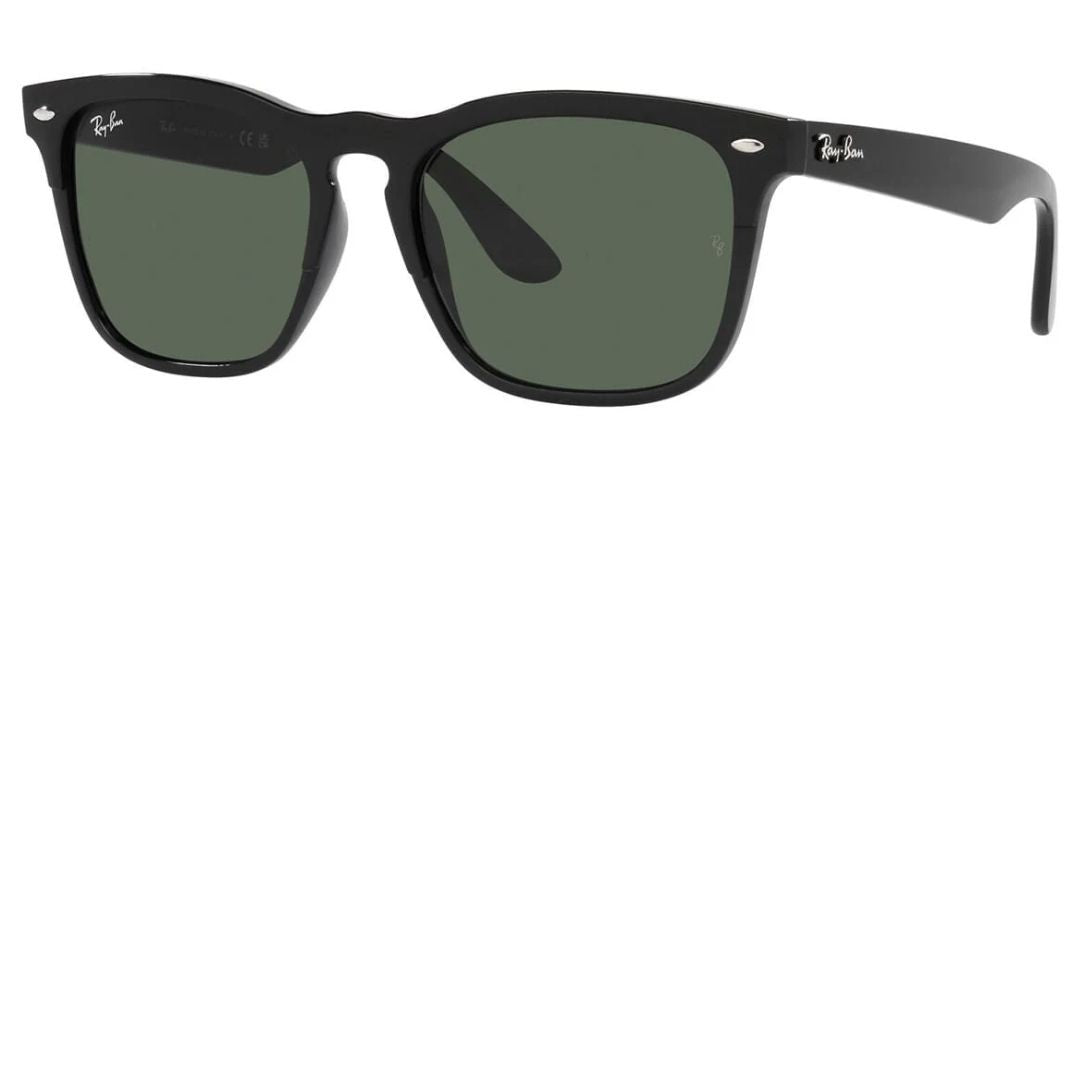 RAY BAN RB4487 STEVE 6629/71
