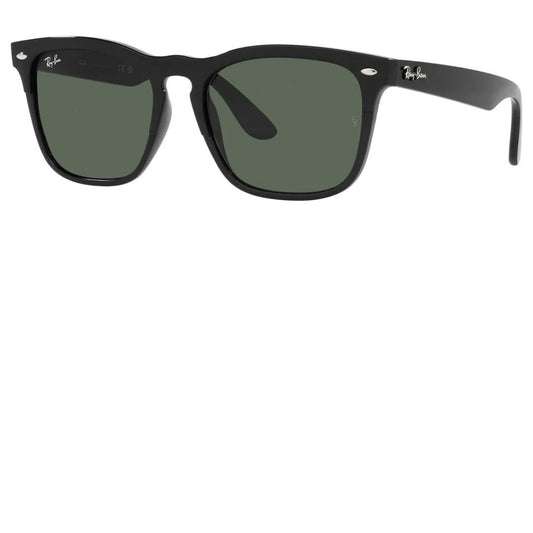 RAY BAN RB4487 STEVE 6629/71