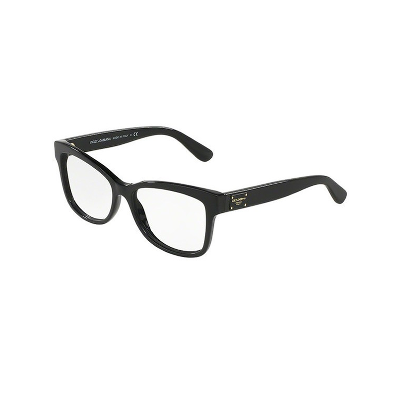 Dolce & Gabbana DG3254-501