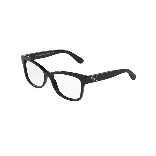 Dolce & Gabbana DG3254-501