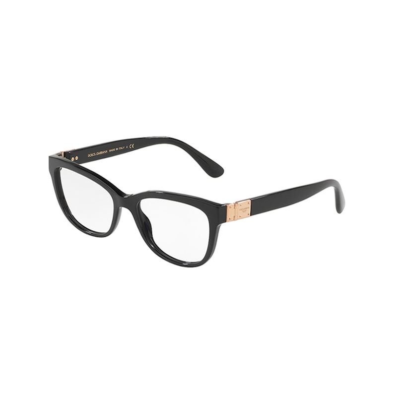 Dolce & Gabbana DG3290-501