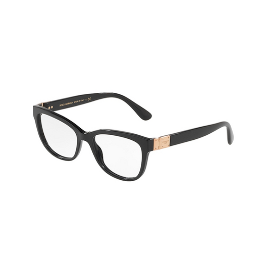 Dolce & Gabbana DG3290-501