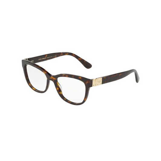 Dolce & Gabbana DG3290-502