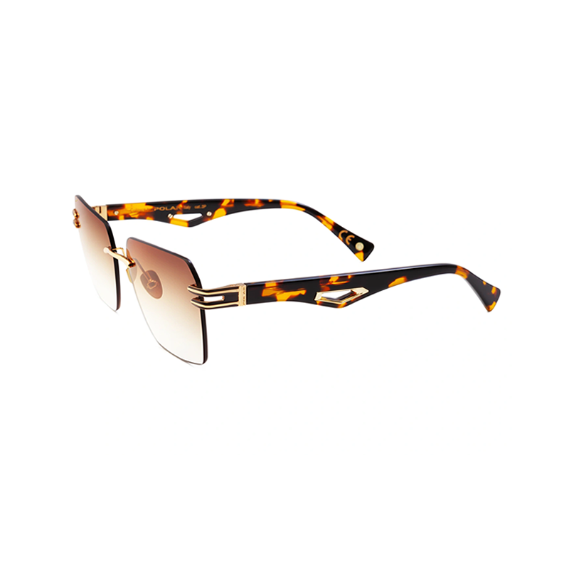POLAR GOLD 6000 428