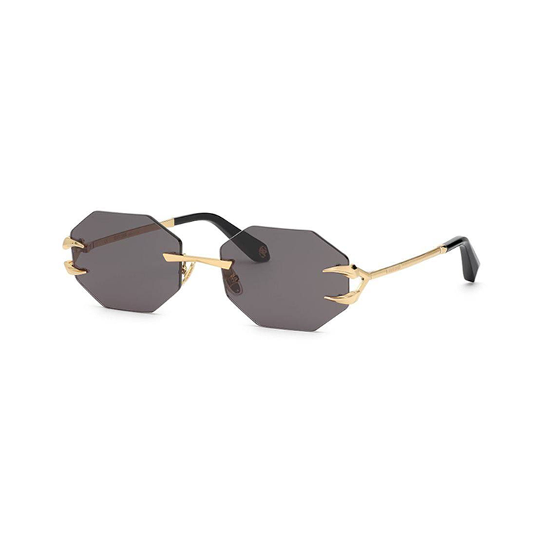 Roberto Cavalli SRC005 0300