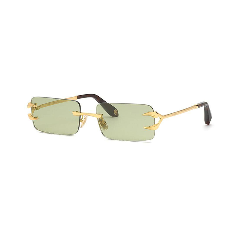 Roberto Cavalli SRC023 400C